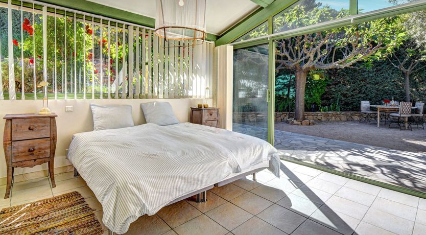 Photo of The Mulberry Tree