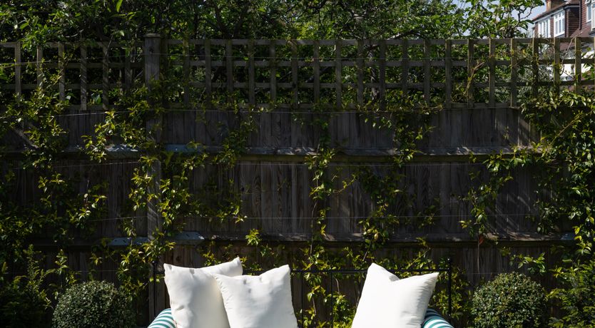 Photo of Ivy & Finch