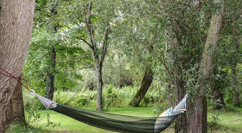 Photo of Days by the River