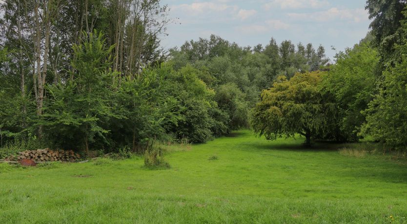 Photo of Days by the River