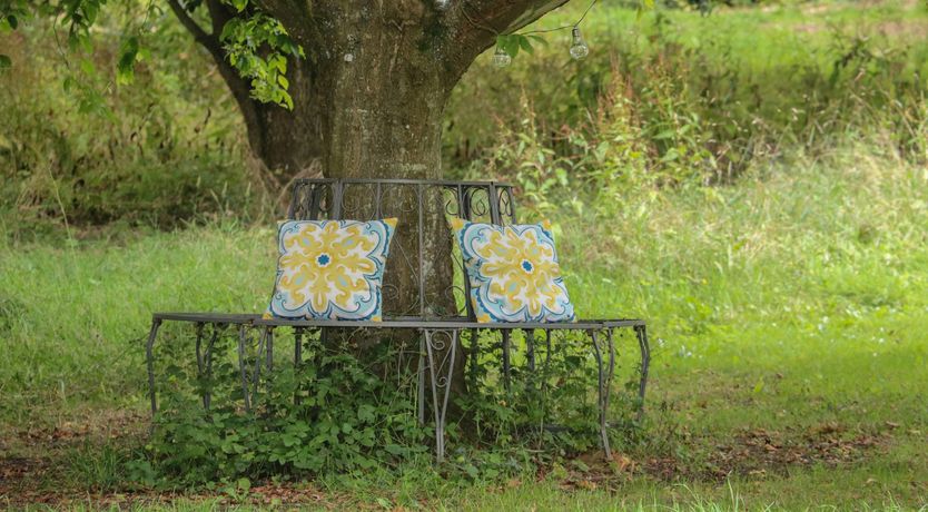 Photo of Days by the River