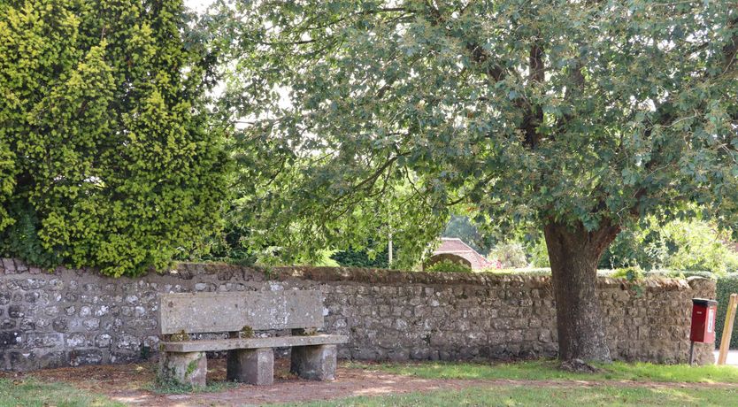 Photo of The Fields of Wonder