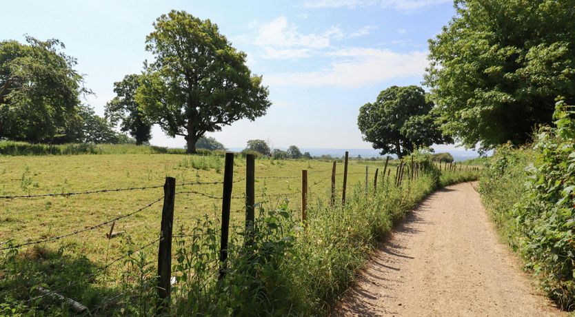Photo of The Fields of Wonder