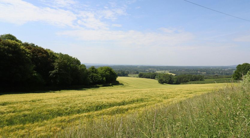 Photo of The Fields of Wonder