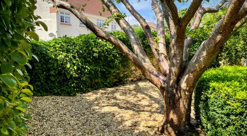 Photo of Breezy Cottage