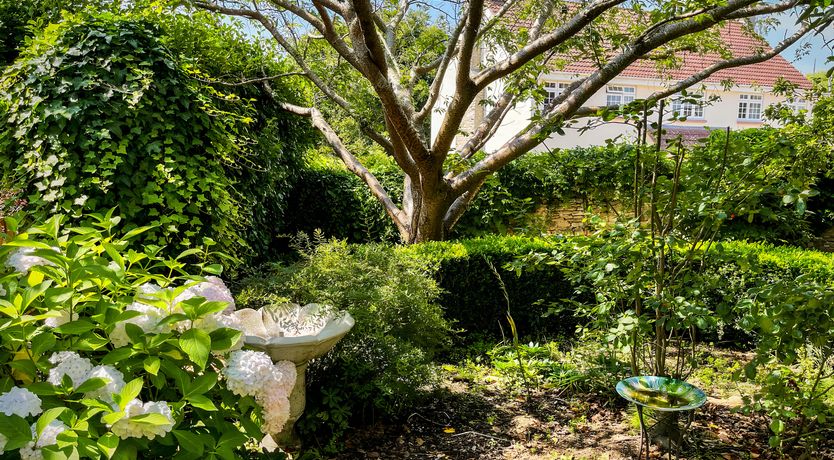 Photo of Breezy Cottage