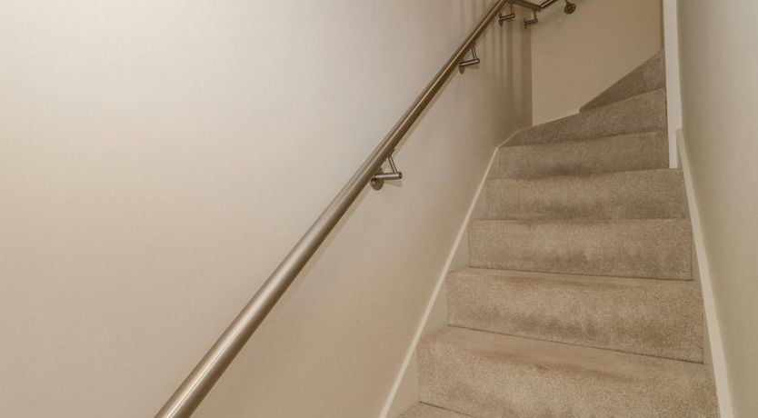 Photo of The Merry Mare