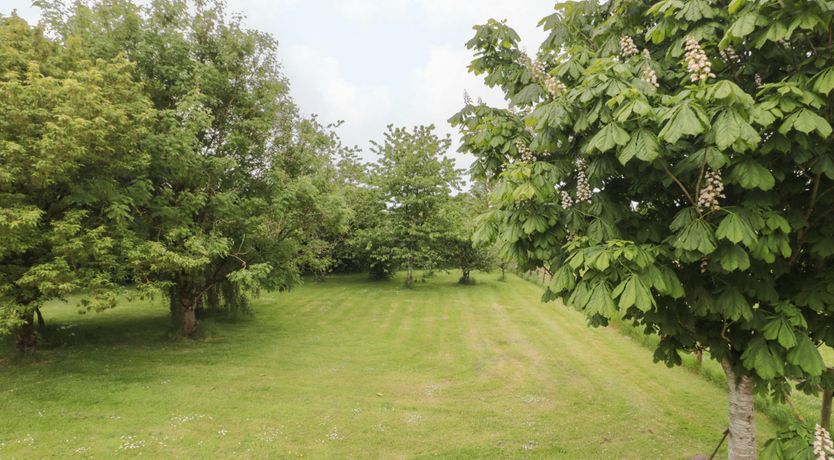 Photo of The Merry Mare