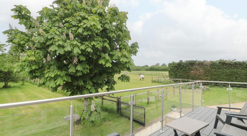 Photo of The Merry Mare