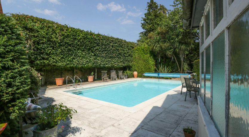 Photo of Forest Moon