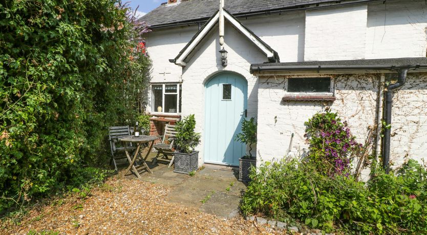 Photo of Forest Moon