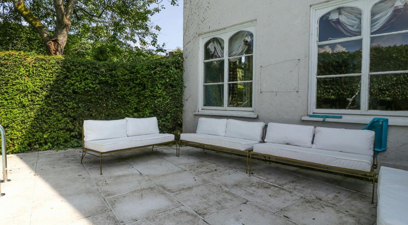 Photo of Forest Moon