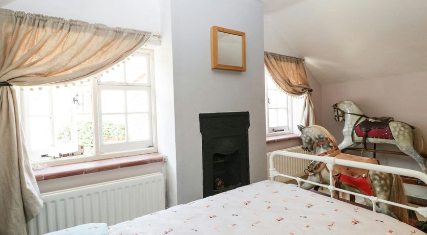 Photo of Forest Moon