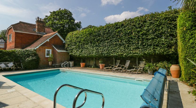 Photo of Forest Moon