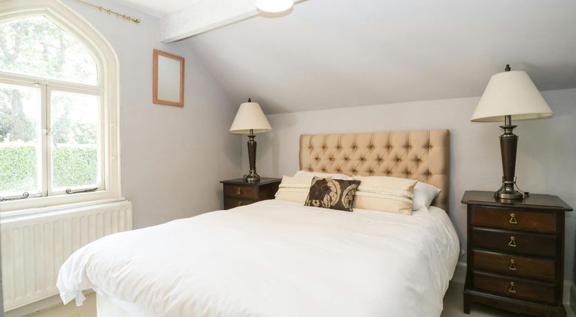 Photo of Forest Moon