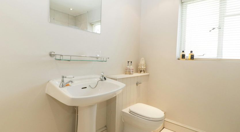 Photo of Forest Moon