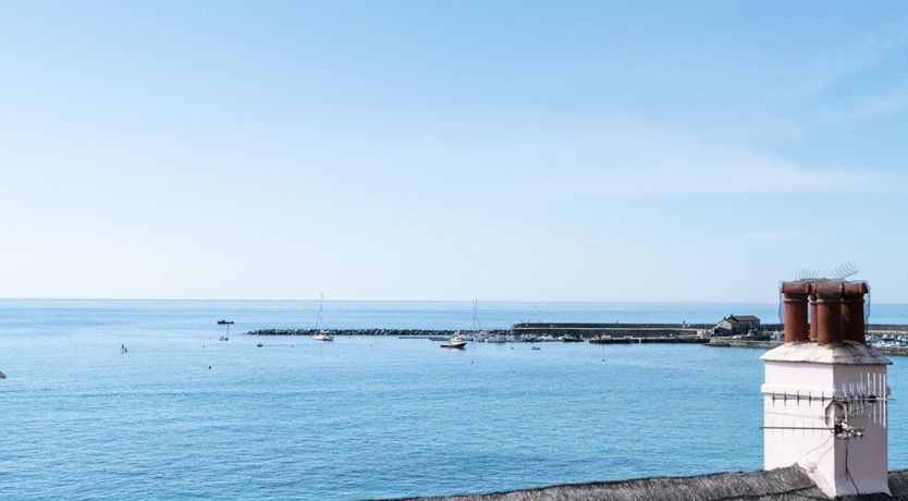 Photo of Fossil Finder