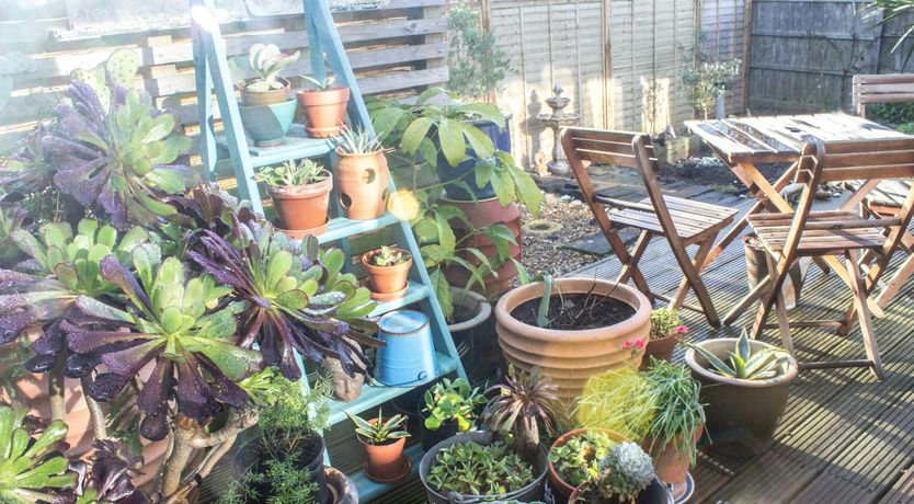 Photo of An Artist's Seascape