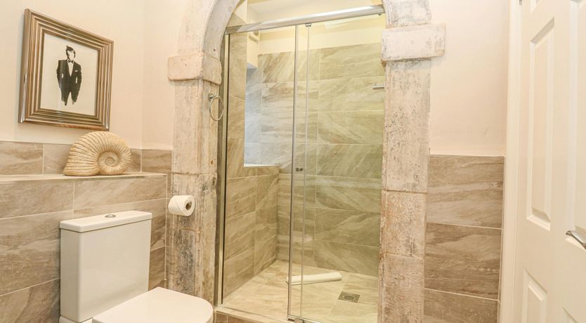 Photo of Seashell Snug