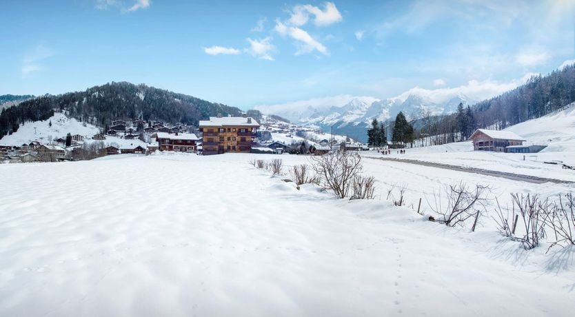 Photo of Winter Wonders