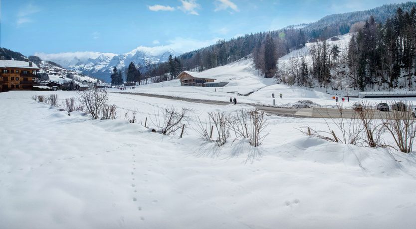 Photo of Winter Wonders