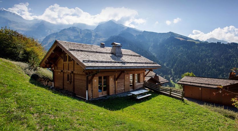 Photo of Alpine Nest