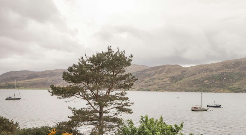 Photo of Brae & Broom