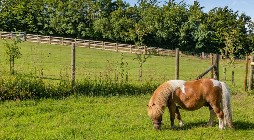 Photo of Exmoor Soul