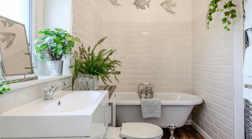 Photo of Exmoor Soul