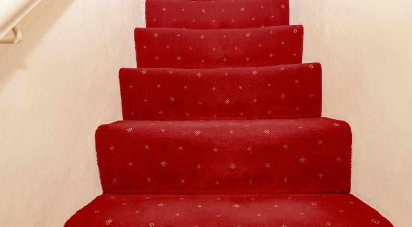 Photo of Dunster Daydream