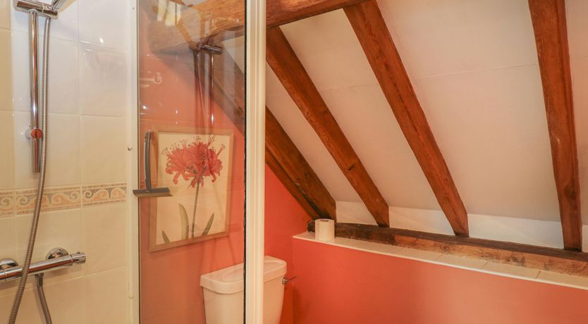 Photo of Here in the Moment