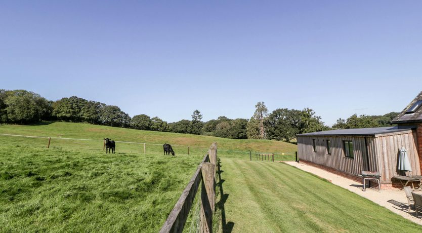 Photo of Here in the Moment