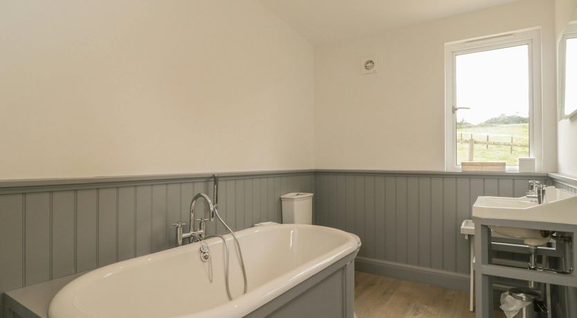 Photo of Here in the Moment