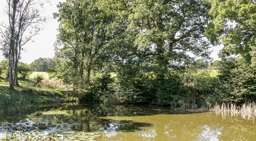 Photo of Here in the Moment