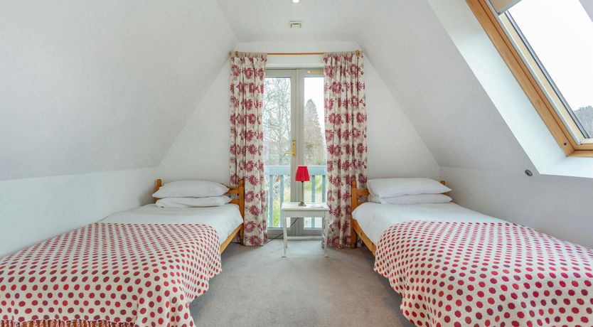 Photo of Deer & Buzzards