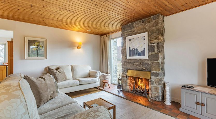 Photo of Deer & Buzzards