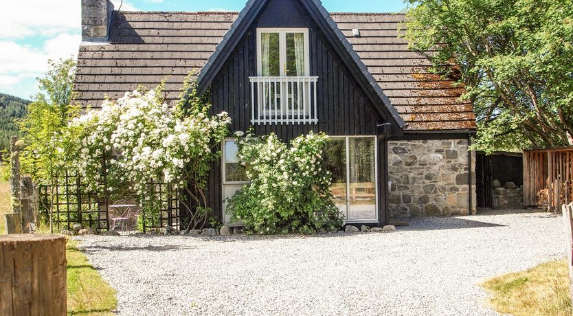 Photo of Deer & Buzzards