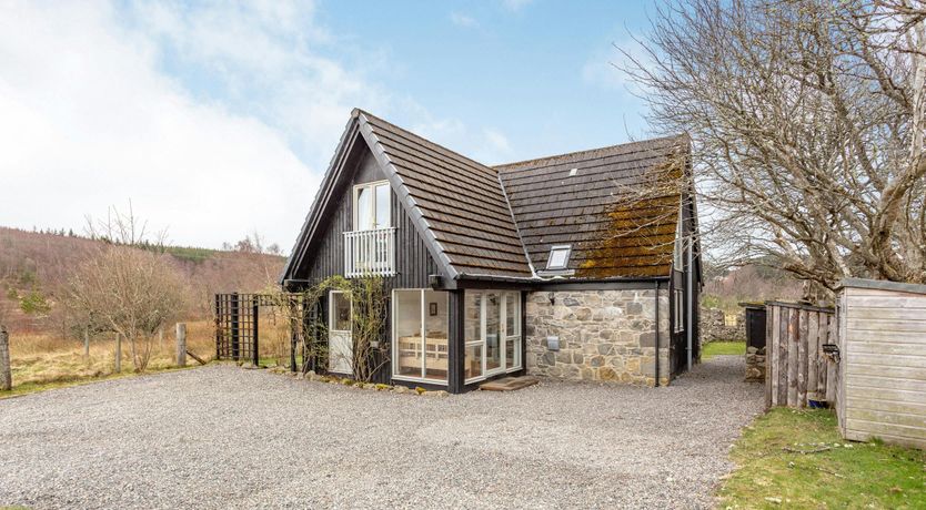 Photo of Deer & Buzzards