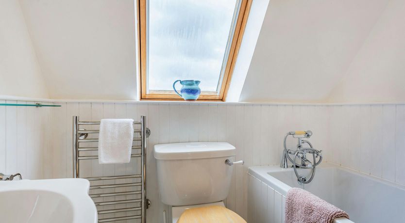 Photo of Deer & Buzzards