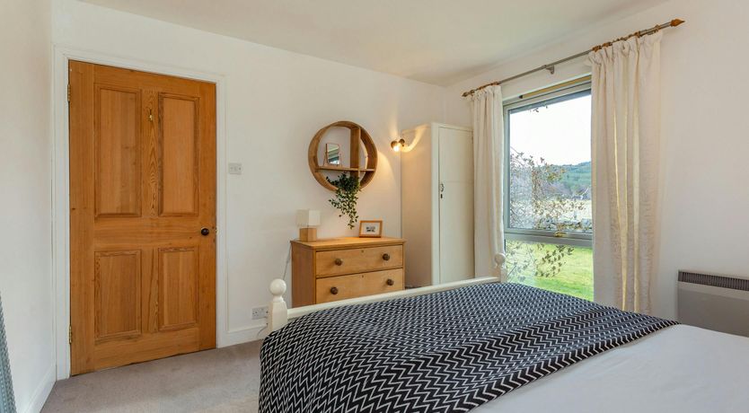 Photo of Deer & Buzzards