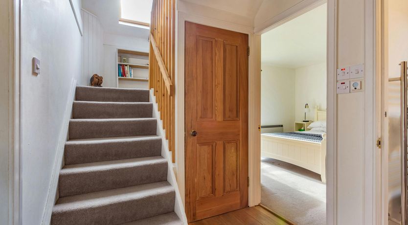 Photo of Deer & Buzzards