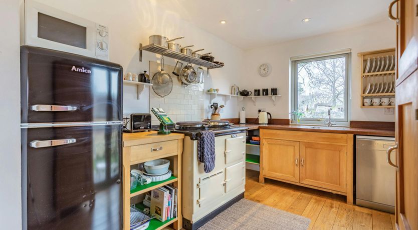 Photo of Deer & Buzzards