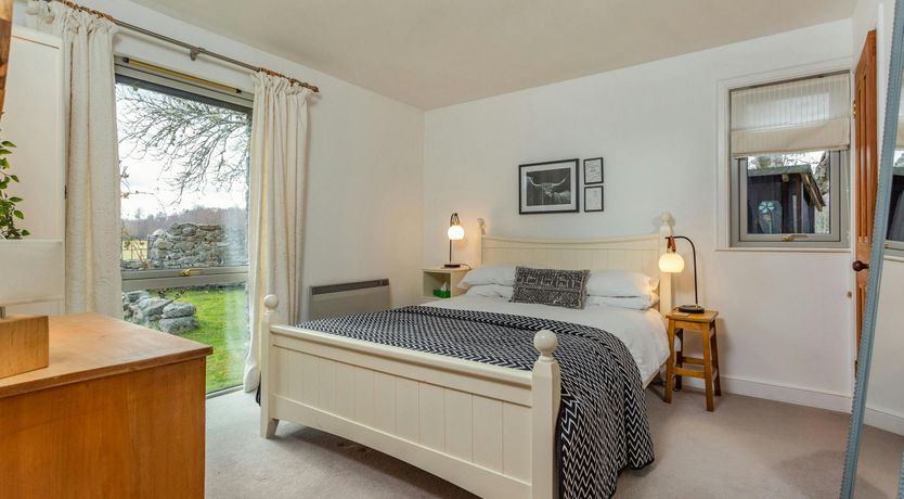 Photo of Deer & Buzzards