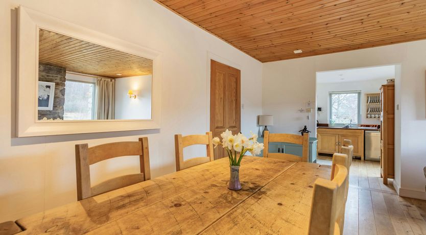 Photo of Deer & Buzzards