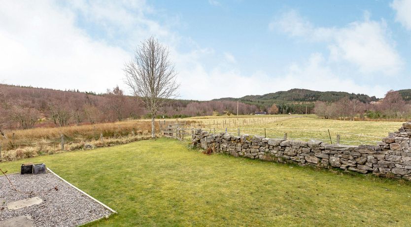 Photo of Deer & Buzzards