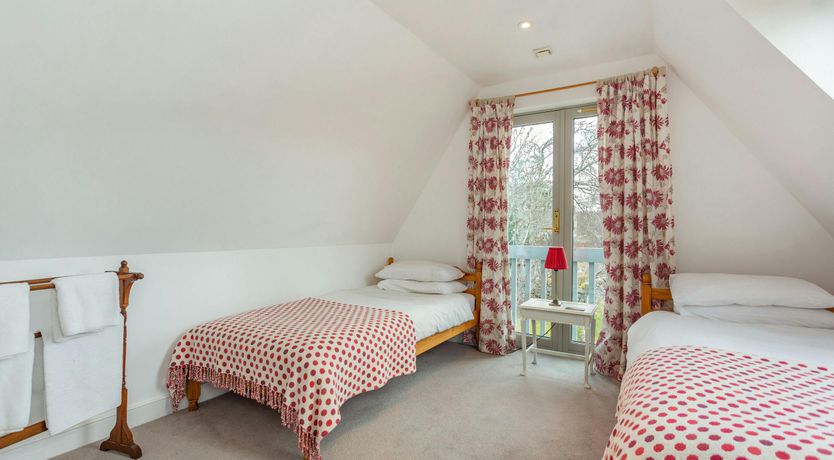 Photo of Deer & Buzzards