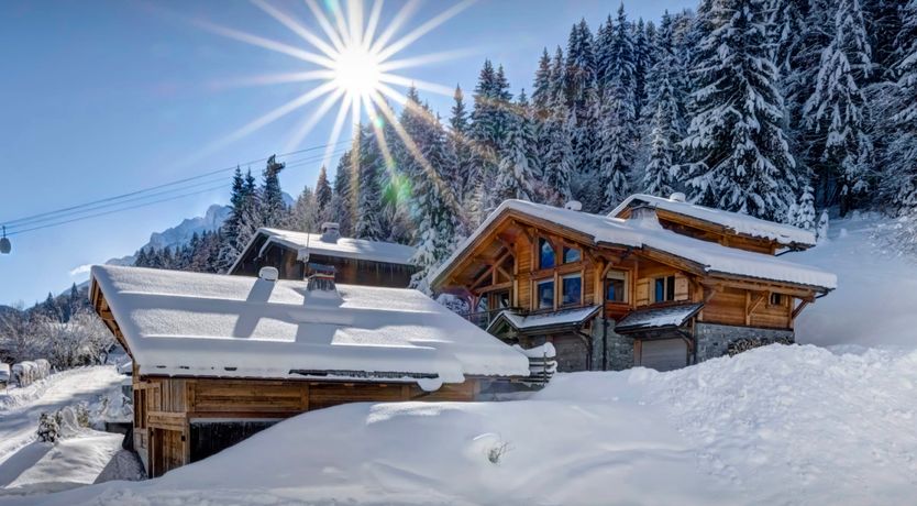 Photo of Snow-Kissed Spirit