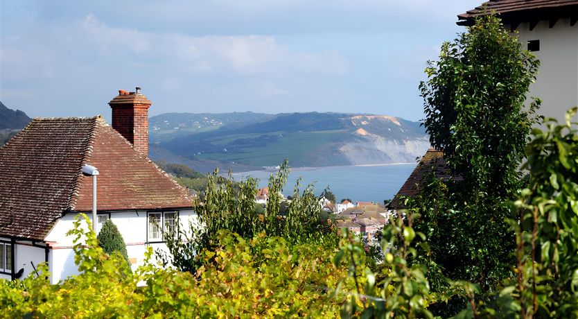 Photo of The Fossil Hunter