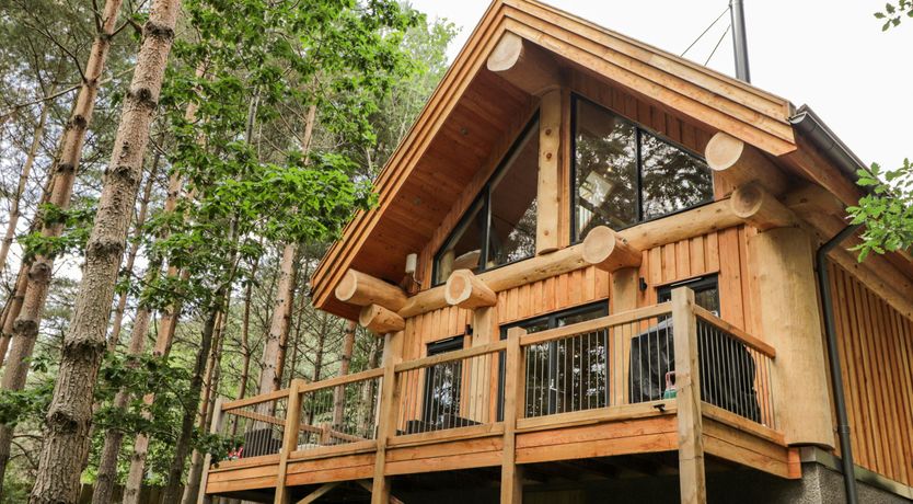 Photo of Woodland Serenity