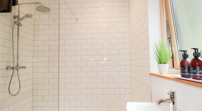 Photo of Woodland Serenity